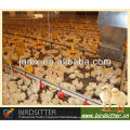 Ready Sale Automatische Hühnerstallausrüstung